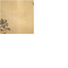 画像8: 水野寿山造　御本手茶碗（共箱） (8)