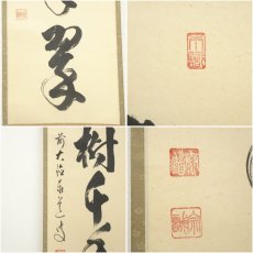 画像6: 前大徳　足立泰道筆　「松樹千年翠」一行書　肉筆紙本掛軸（共箱） (6)