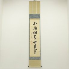 画像1: 大徳寺　藤井誡堂筆　「小馬初来十月寒」一行書　肉筆紙本掛軸（共箱） (1)
