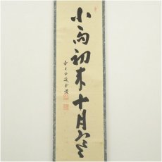 画像2: 大徳寺　藤井誡堂筆　「小馬初来十月寒」一行書　肉筆紙本掛軸（共箱） (2)