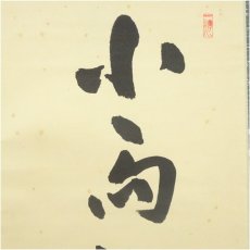 画像3: 大徳寺　藤井誡堂筆　「小馬初来十月寒」一行書　肉筆紙本掛軸（共箱） (3)