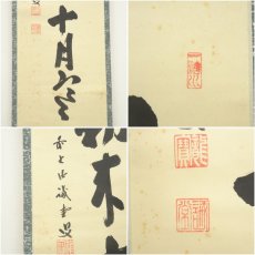 画像6: 大徳寺　藤井誡堂筆　「小馬初来十月寒」一行書　肉筆紙本掛軸（共箱） (6)