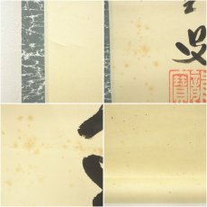 画像7: 大徳寺　藤井誡堂筆　「小馬初来十月寒」一行書　肉筆紙本掛軸（共箱） (7)