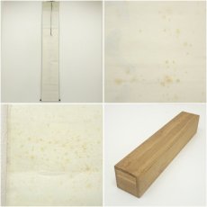 画像9: 大徳寺　藤井誡堂筆　「小馬初来十月寒」一行書　肉筆紙本掛軸（共箱） (9)