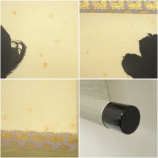 画像7: 大徳寺　小林太玄筆　「春入千林処々鶯」一行書　肉筆紙本掛軸（共箱） (7)