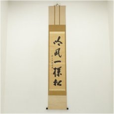 画像1: 大徳寺　藤井誡堂筆　「吟風一様松」一行書　肉筆紙本掛軸（保護箱） (1)