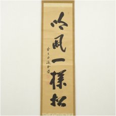 画像2: 大徳寺　藤井誡堂筆　「吟風一様松」一行書　肉筆紙本掛軸（保護箱） (2)