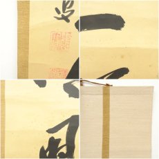 画像8: 大徳寺　藤井誡堂筆　「吟風一様松」一行書　肉筆紙本掛軸（保護箱） (8)