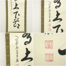 画像6: 大徳寺　小堀卓巌筆　「松樹千年翠」一行書　肉筆紙本掛軸（保護箱） (6)