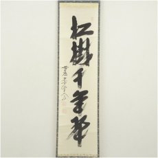 画像2: 前大徳　西垣大道筆　「松樹千年翠」一行書　肉筆紙本掛軸（共箱） (2)