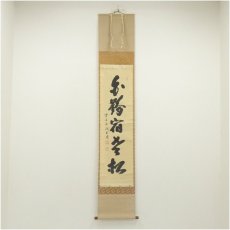 画像1: 前大徳　藤井誡堂筆　「白鶴宿老松」一行書　肉筆紙本掛軸（共箱） (1)