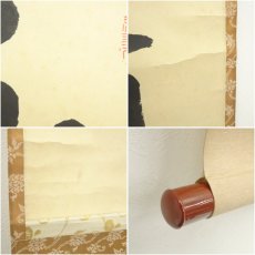 画像7: 前大徳　藤井誡堂筆　「白鶴宿老松」一行書　肉筆紙本掛軸（共箱） (7)