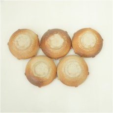 画像4: 信楽焼　高橋春斎造　小鉢（共箱） (4)
