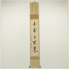 画像1: 大徳寺　上田義山筆　「白雲自去来」一行書　肉筆紙本掛軸（共箱） (1)