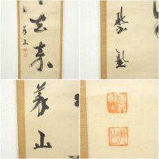 画像6: 大徳寺　上田義山筆　「白雲自去来」一行書　肉筆紙本掛軸（共箱） (6)