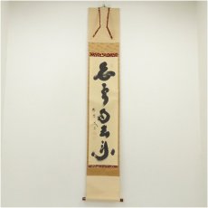 画像1: 大徳寺　小林太玄筆　「白雲自去来」一行書　肉筆紙本掛軸（共箱） (1)
