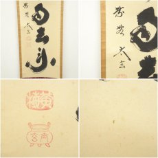 画像6: 大徳寺　小林太玄筆　「白雲自去来」一行書　肉筆紙本掛軸（共箱） (6)