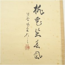 画像3: 大徳寺　細合喝堂筆　「桃色笑春風」春洋筆　貝雛画賛　横物　肉筆紙本掛軸（共箱） (3)