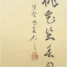 画像4: 大徳寺　細合喝堂筆　「桃色笑春風」春洋筆　貝雛画賛　横物　肉筆紙本掛軸（共箱） (4)