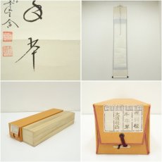 画像8: 前大徳　西垣大道筆　「千年翠」玉泉筆　松画賛　肉筆紙本掛軸（共箱） (8)