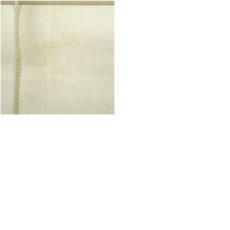 画像11: 表千家　永田宗伴（的々斎）筆　「春入千林處々鶯」一行書　肉筆紙本掛軸（保護箱） (11)