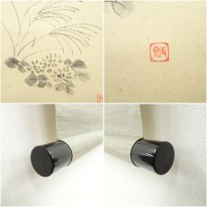 画像7: 前大徳　西垣大道筆　「月」玉泉筆　秋草画賛　肉筆紙本掛軸（共箱） (7)
