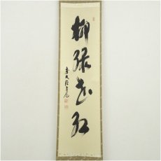 画像2: 前大徳　須賀玄道筆　「柳緑花紅」一行書　肉筆紙本掛軸（共箱） (2)
