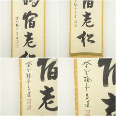 画像6: 大徳寺　前田昌道筆　「白鶴宿老松」一行書　肉筆紙本掛軸（共箱） (6)