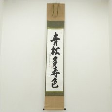 画像1: 南宗寺　佐藤一耕（坐雲洞）筆　「青松多寿色」一行書　肉筆紙本掛軸 (1)