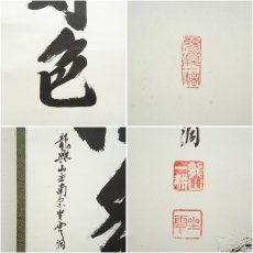 画像6: 南宗寺　佐藤一耕（坐雲洞）筆　「青松多寿色」一行書　肉筆紙本掛軸 (6)