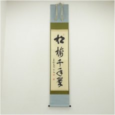 画像1: 大徳寺　松長剛山筆　「松樹千年翠」一行書　肉筆紙本掛軸（共箱） (1)