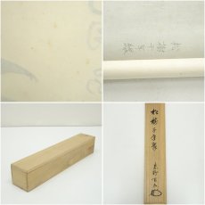 画像8: 大徳寺　松長剛山筆　「松樹千年翠」一行書　肉筆紙本掛軸（共箱） (8)
