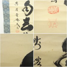 画像6: 大徳寺　小林太玄筆　「白雲自去来」一行書　肉筆紙本掛軸 (6)