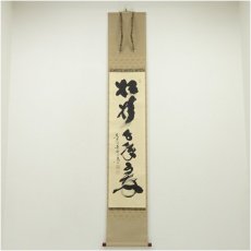 画像1: 大徳寺　小林太玄筆　「松樹千年翠」一行書　肉筆紙本掛軸（共箱） (1)