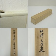 画像8: 大徳寺　小林太玄筆　「松樹千年翠」一行書　肉筆紙本掛軸（共箱） (8)