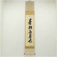 画像1: 前大徳　大橋香林筆　「青松多寿色」一行書　肉筆紙本掛軸（共箱） (1)