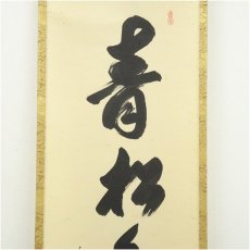 画像3: 前大徳　大橋香林筆　「青松多寿色」一行書　肉筆紙本掛軸（共箱） (3)
