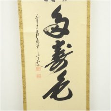 画像4: 前大徳　大橋香林筆　「青松多寿色」一行書　肉筆紙本掛軸（共箱） (4)