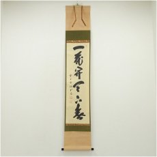 画像1: 前大徳　藤井誡堂筆　「一花開天下春」一行書　肉筆紙本掛軸（共箱） (1)
