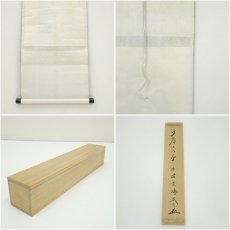 画像9: 大徳寺　小林太玄筆　「竹有上下節」一行書　肉筆紙本掛軸（共箱） (9)