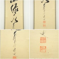 画像6: 前大徳　矢野一甫（海渕）筆　「青山緑水」一行書　肉筆紙本掛軸（共箱） (6)