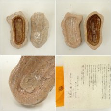 画像6: 大樋焼　三代　大樋長阿弥（研仁）造　干支未香合（共箱） (6)