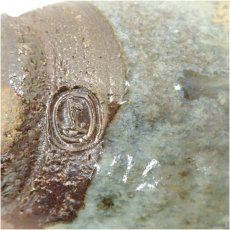 画像5: 作家物　掛分窯変茶碗 (5)