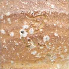 画像5: 作家物　信楽焼　茶碗 (5)