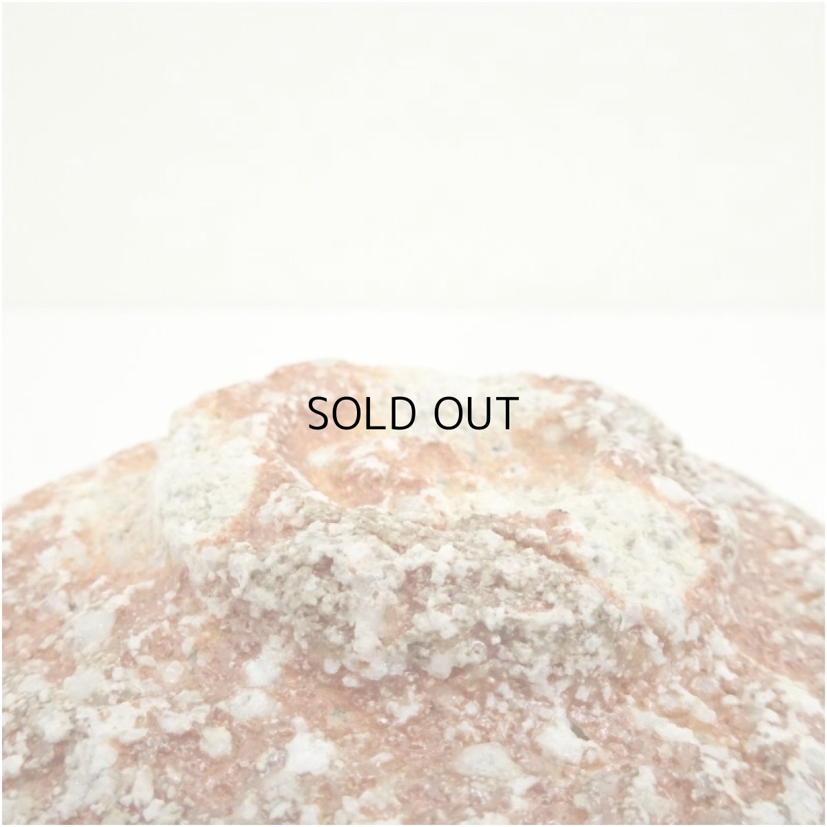 画像5: 作家物　信楽焼　茶碗 (5)