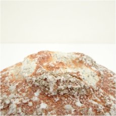 画像5: 作家物　信楽焼　茶碗 (5)