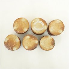 画像4: 伊賀焼　小島憲二造　筒碗6客（共箱） (4)