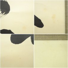 画像7: 前大徳　宮西玄性筆　「春入千林処々花」一行書　肉筆紙本掛軸（共箱） (7)