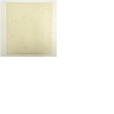 画像12: 永平寺　秦慧玉筆　「青葉逢秋即紅」など　肉筆色紙3点 (12)