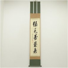 画像1: 前大徳　足立泰道筆　「緑毛萬歳寿」一行書　肉筆紙本掛軸（保護箱） (1)